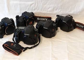 Używany, Do wynajęcia LUSTRZANKI Sony-A SLT i DSLR na sprzedaż  Jelenia Góra