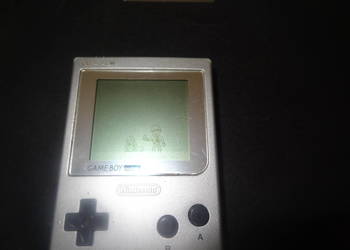 game boy pokemon na sprzedaż game boy pokemon na sprzedaż Poznań