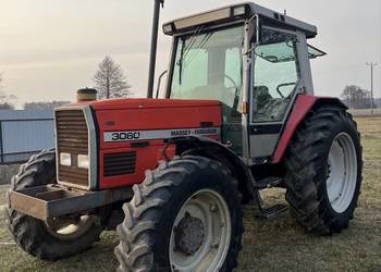 Massey Ferguson 3080 na sprzedaż  Zbuczyn