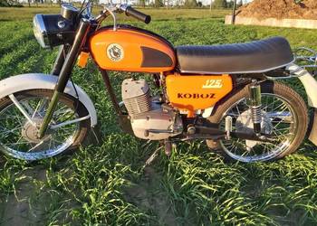 wsk 175 na sprzedaż  Rypin
