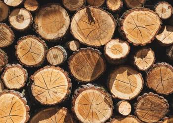 drewno konstrukcyjne na sprzedaż  Czernikówko