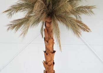 Używany, Palma sztuczna sztuczne drzewka kwiaty palmy hit na sprzedaż  Wąbrzeźno
