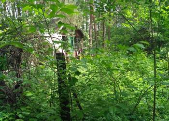 Działka budowlana położona w lesie., używany na sprzedaż  Łosie