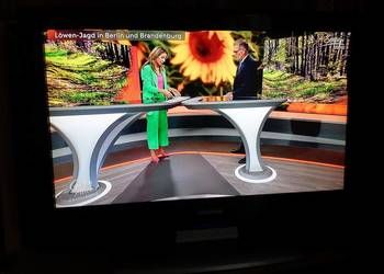 Telewizor 32'' LCD - SAMSUNG LE32R81BX/XEC (+pilot), używany na sprzedaż  Szczecin