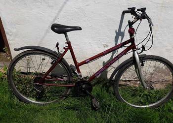 rower góral 26- гірський велосипед 26 na sprzedaż  Solec-Zdrój
