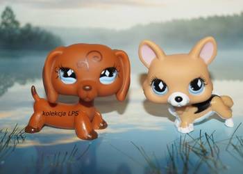 LPS Littlest Pet Shop jamnik #640 corgi #639 oryginalny pop oryginał na sprzedaż  Rybnik