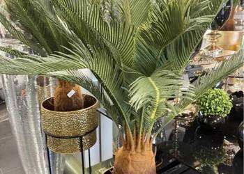 Sztuczna palma z kokosem jak żywa PREMIUM hit nowoczesna, używany na sprzedaż  Nowy Sącz