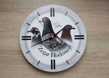 Zegar dla hodowców gołębi., używany na sprzedaż  Ruda Śląska