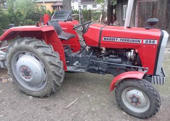 Używany, Massey Ferguson 255 na sprzedaż  Bruśnik