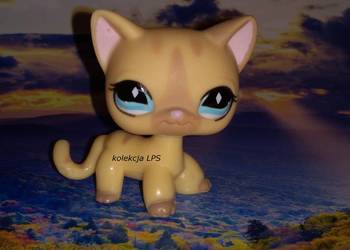 LPS Littlest Pet Shop shorthair #886 oryginalny UNIKAT POP na sprzedaż  Rybnik