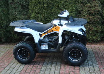 Quad 200 SHARMAX cc 4t Hammer Shinerau Bashan  raty na oświa na sprzedaż  Goleniów