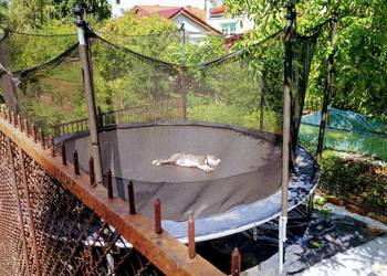 Trampolina sportowa  ogromna, używany na sprzedaż  Zielona Góra