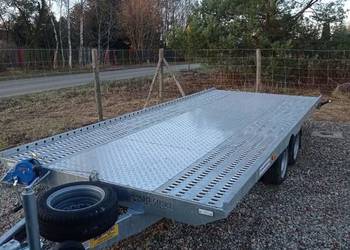 Wynajem Laweta 5x2m 2500 dmc, platforma, przyczepa,, używany na sprzedaż  Dys