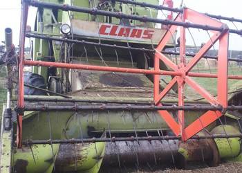 Używany, Kombajn claas protector na sprzedaż  Bojano