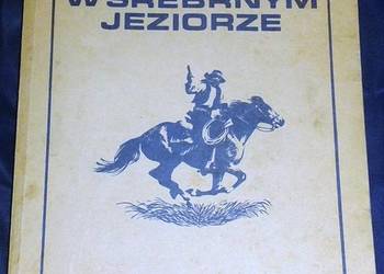Skarb w Srebrnym Jeziorze - Karol May, używany na sprzedaż  Chełm