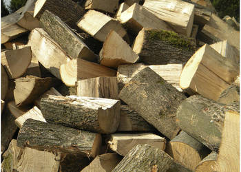 Drewno do pieca i kominka, duży wybór gatunków liściastych na sprzedaż  Lubniewice