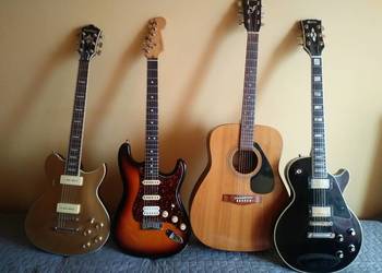 Nauka gry na gitarze ! na sprzedaż  Tarnobrzeg