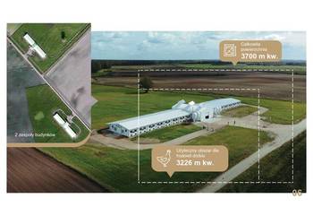 700 Ha Działki rolne i 3700 m2 Farmy drobiu (Litwa) na sprzedaż  Sadków
