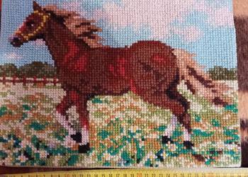 koń-obraz krzyżykowy na sprzedaż  Goleniów