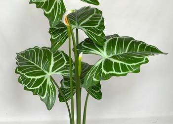 Sztuczne drzewko kwiat roślina wysokie sztuczne Anthurium 170cm na sprzedaż  Wąbrzeźno