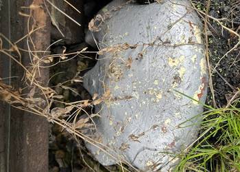 Używany, Obciążniki do Ursus C 325 na sprzedaż  Jawiszowice