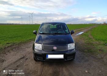 Fiat panda na sprzedaż  Września