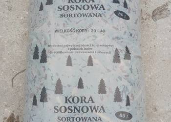 kora sosnowa na sprzedaż  Kraków
