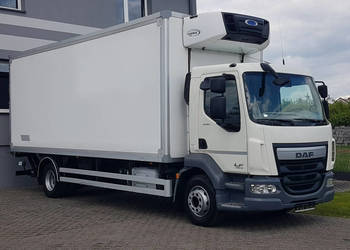 DAF 16T LF 230 WINDA CHŁODNIA 16EP 6,60x2,48x2,39 KLIMA IZOTERMA MROŹNIA A… na sprzedaż  Poręba