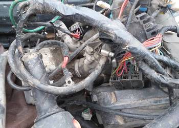 Peugeot elystar 150 125 silnik rama swap na sprzedaż  Września