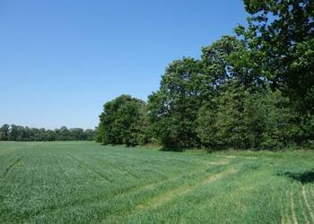 Skoczów Ochaby 62ar pod lasem pod rekreacje altanke domek na sprzedaż  Skoczów