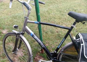 Sparta Holenderski duży rower na sprzedaż  Baryczka