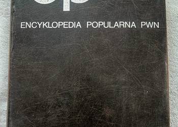 Używany, Encyklopedia PWN na sprzedaż  Łódź