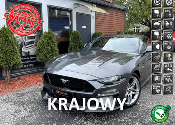 Ford Mustang Doinwestowany, Polski Salon, Bezwypadkowy, ASO, Kute Alu felg… na sprzedaż  Bydgoszcz