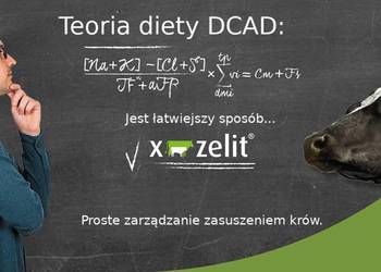 X-Zelit dla krów zasuszonych Proste zarządzanie zasuszeniem krów mlecznych na sprzedaż  Strzelce Wielkie