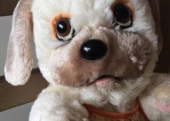 Nowy piesek Little Beggar Dog maskotka, zabawka, pluszak na sprzedaż  Chorzów