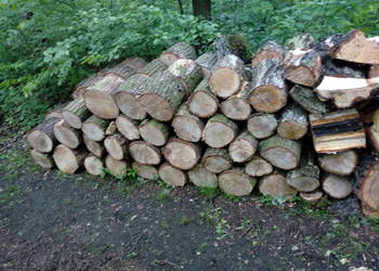 Usługi pilarką spalinową , cięcie drewna ,ścinka drzew, używany na sprzedaż  Zabrze