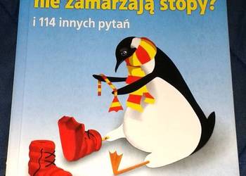 Dlaczego pingwinom nie zamarzają stopy? I 114 innych pytań - O'Hare Mick na sprzedaż  Chełm