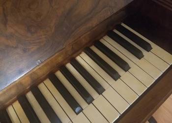 Nauka gry na pianinie, keyboardzie, akordeonie - Stronno na sprzedaż  Stronno