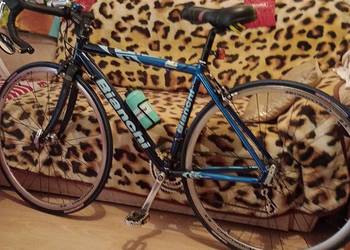 sprzedam kolarzówkę włoską Bianchi na osprzęcie compagnolo veloce na sprzedaż  Ostrowiec Świętokrzyski