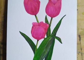 Akwarela - Tulipany na sprzedaż  Lwówek