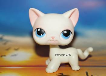 Używany, LPS Littlest Pet Shop shorthair #64 oryginalny kotek oryginał pop na sprzedaż  Rybnik