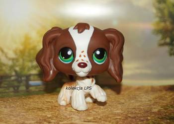 LPS Littlest Pet Shop spaniel z piegami #156 oryginalny POP na sprzedaż  Rybnik