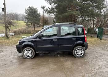 Używany, Panda 4x4, bez korozji, super stan na sprzedaż  Mikołów