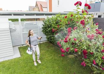 Akumulatorowy opryskiwacz do roślin AL-KO PS 2035 20V na sprzedaż  Kobiele Wielkie
