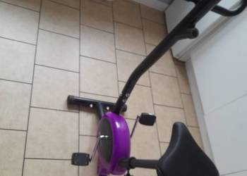 Sprzedam rowerek treningowy stacjonarny Hot-Sport. na sprzedaż  Poznań