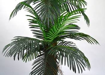 Palma podwójna 1,8m drzewko sztuczne kwiaty palmy na sprzedaż  Wąbrzeźno