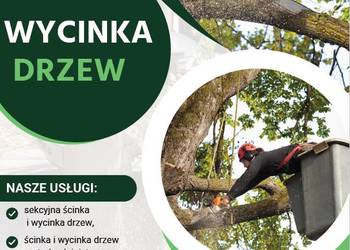 Wycinki / Ścinka /Sprzedaż Drewna/ Cięcie / Przecinki /Kosze na sprzedaż  Przeworsk