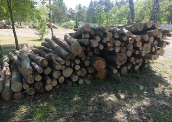 Drewno kominkowe,opałowe różne gatunki na sprzedaż  Dąbrowa Górnicza