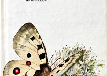 Atlas motyli - Moucha na sprzedaż  Osięciny