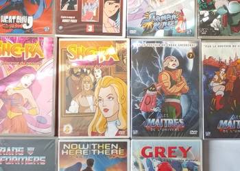 12x DVD anime manga FRANCUSKIE FOLIA, She-Ra, He-man i inne, lata 2000 na sprzedaż  Rzeszów